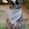 Load image into Gallery viewer, Pet Bandana - Bandana BETTY BOOP Face Heart and Text Stars White/Red