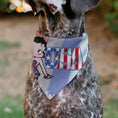 Load image into Gallery viewer, Pet Bandana - Betty Boop USA Stars and Stripes Pose White/Red/Blue