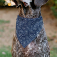 Load image into Gallery viewer, Pet Bandana - CHEVROLET 1940 Bowtie Text Logo Paisley Blue/White