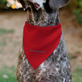 Load image into Gallery viewer, Pet Bandana - Coca-Cola COKE Logo Centered Red/White