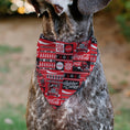 Load image into Gallery viewer, Pet Bandana - Coca-Cola Holiday Sweater Collage Red/Black/White