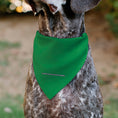 Load image into Gallery viewer, Pet Bandana - SPRITE Text Logo Green/White