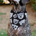 Load image into Gallery viewer, Pet Bandana - Coca-Cola Polar Bear Expressions Scattered Black/White