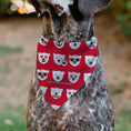 Load image into Gallery viewer, Pet Bandana - ENJOY COCA-COLA Logo and Polar Bear Expressions Red/White