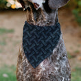 Load image into Gallery viewer, Pet Bandana - COCA-COLA Script Collage Navy/Light Blue
