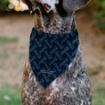 Load image into Gallery viewer, Pet Bandana - COCA-COLA Script Collage Navy/Light Blue