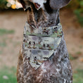 Load image into Gallery viewer, Pet Bandana - Mickey and Minnie Mouse Vintage Comic Strip Scenes