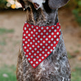 Load image into Gallery viewer, Pet Bandana - MINNIE MOUSE Autograph Script Polka Dot Red/White