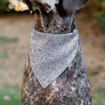 Load image into Gallery viewer, Pet Bandana - Disney Princess Faces Stacked White/Brown