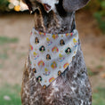 Load image into Gallery viewer, Pet Bandana - Disney Holiday Princess Poses and Icons Beige/Tan/Red