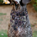 Load image into Gallery viewer, Pet Bandana - Disney Villains Pose Blocks