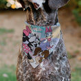 Load image into Gallery viewer, Pet Bandana - Minnie Mouse and Daisy Duck with Figaro and Fifi FRIENDS FUR-EVER Multi Color