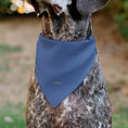 Load image into Gallery viewer, Pet Bandana - Disney Five Princesses Group Pose and Flowers Blues