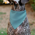 Load image into Gallery viewer, Pet Bandana - Snow White SWEET NATURED Pose Blue