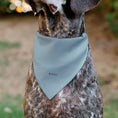 Load image into Gallery viewer, Pet Bandana - The Little Mermaid Ariel Face Close-Up Light Blue