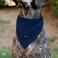 Load image into Gallery viewer, Pet Bandana - BEAUTY & THE BEAST Belle and Beast Dancing Pose Blue/Multi Color