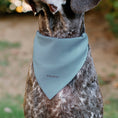 Load image into Gallery viewer, Pet Bandana - Toy Story Buzz Lightyear WAY BEYOND Pose Light Blue