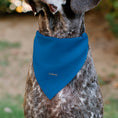 Load image into Gallery viewer, Pet Bandana - Stitch Smiling Face Character Close-Up Blues