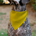 Load image into Gallery viewer, Pet Bandana - Winnie the Pooh Winking Smiling Face Golden Yellow