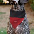 Load image into Gallery viewer, Pet Bandana - Mickey Mouse Buttons Black/Red
