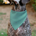 Load image into Gallery viewer, Pet Bandana - SCRUMP Text and Pose Light Blue