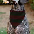 Load image into Gallery viewer, Pet Bandana - A Nightmare on Elm Street Freddy Melted Black/White/Red