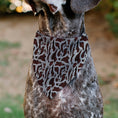 Load image into Gallery viewer, Pet Bandana - A Nightmare on Elm Street Freddy Melted Black/White/Red
