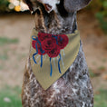 Load image into Gallery viewer, Pet Bandana - GRATEFUL DEAD THE OTHER ONE Roses and Text Tan/Blue/Red
