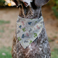 Load image into Gallery viewer, Pet Bandana - Harry Potter School Tarot Cards Stacked Beige/Multi Color