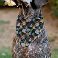 Load image into Gallery viewer, Pet Bandana - Harry Potter Chibi Charm Dark Arts Characters Stacked