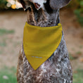 Load image into Gallery viewer, Pet Bandana - Harry Potter HUFFLEPUFF Traits Banner and Icons Yellows/Blue