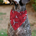 Load image into Gallery viewer, Pet Bandana - IT Pennywise Smile and Balloons White/Blues/Reds