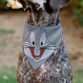 Load image into Gallery viewer, Pet Bandana - LOONEY TUNES Bugs Bunny Face Close-Up Gray