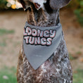 Load image into Gallery viewer, Pet Bandana - LOONEY TUNES Bugs Bunny Face Close-Up Gray