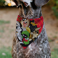 Load image into Gallery viewer, Pet Bandana - LOONEY TUNES Five Character Target Close-Up Pose Red