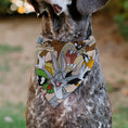 Load image into Gallery viewer, Pet Bandana - LOONEY TUNES Six Character Stack Pose Beige