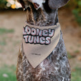 Load image into Gallery viewer, Pet Bandana - LOONEY TUNES Six Character Stack Pose Beige