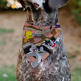 Load image into Gallery viewer, Pet Bandana - LOONEY TUNES Six Character Running Pose Pink