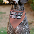 Load image into Gallery viewer, Pet Bandana - LOONEY TUNES Six Character Running Pose Pink