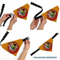 Load image into Gallery viewer, Pet Bandana - LOONEY TUNES Five Character Target Pose Orange