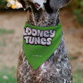 Load image into Gallery viewer, Pet Bandana - LOONEY TUNES Marvin the Martian Face Close-Up Green