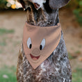 Load image into Gallery viewer, Pet Bandana - LOONEY TUNES Porky Pig Face Close-Up Peach