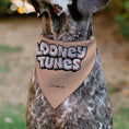 Load image into Gallery viewer, Pet Bandana - LOONEY TUNES Porky Pig Face Close-Up Peach
