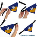 Load image into Gallery viewer, Pet Bandana - LOONEY TUNES Road Runner Face Close-Up Blue