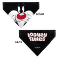 Load image into Gallery viewer, Pet Bandana - LOONEY TUNES Sylvester the Cat Face Close-Up Black