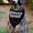 Load image into Gallery viewer, Pet Bandana - LOONEY TUNES Sylvester the Cat Face Close-Up Black