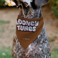 Load image into Gallery viewer, Pet Bandana - LOONEY TUNES Taz Tasmanian Devil Face Close-Up Brown