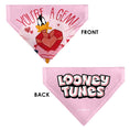 Load image into Gallery viewer, Pet Bandana - Daffy Duck YOU'RE A GEM Heart Pose and Title Logo Pink