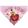 Load image into Gallery viewer, Pet Bandana - Daffy Duck YOU'RE A GEM Heart Pose and Title Logo Pink