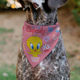 Load image into Gallery viewer, Pet Bandana - Tweety Bird BE MY CUPCAKE Sweets Pose and Title Logo Pink